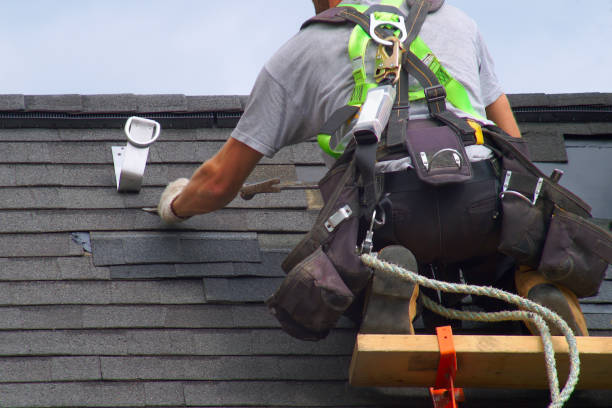 Best Solar Panel Roofing Installation  in Andalusia, IL