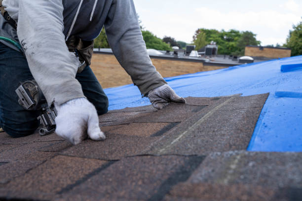 Best Chimney Flashing Repair  in Andalusia, IL
